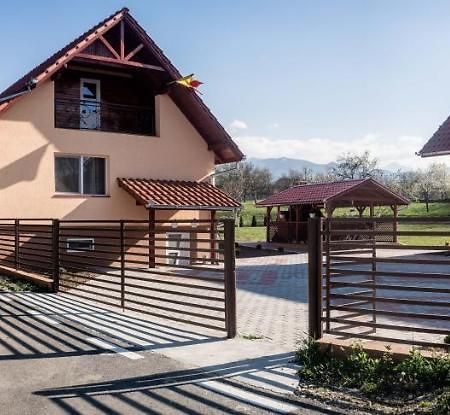 Pensiunea Dan-Ge-La Salasu de Sus Exterior photo